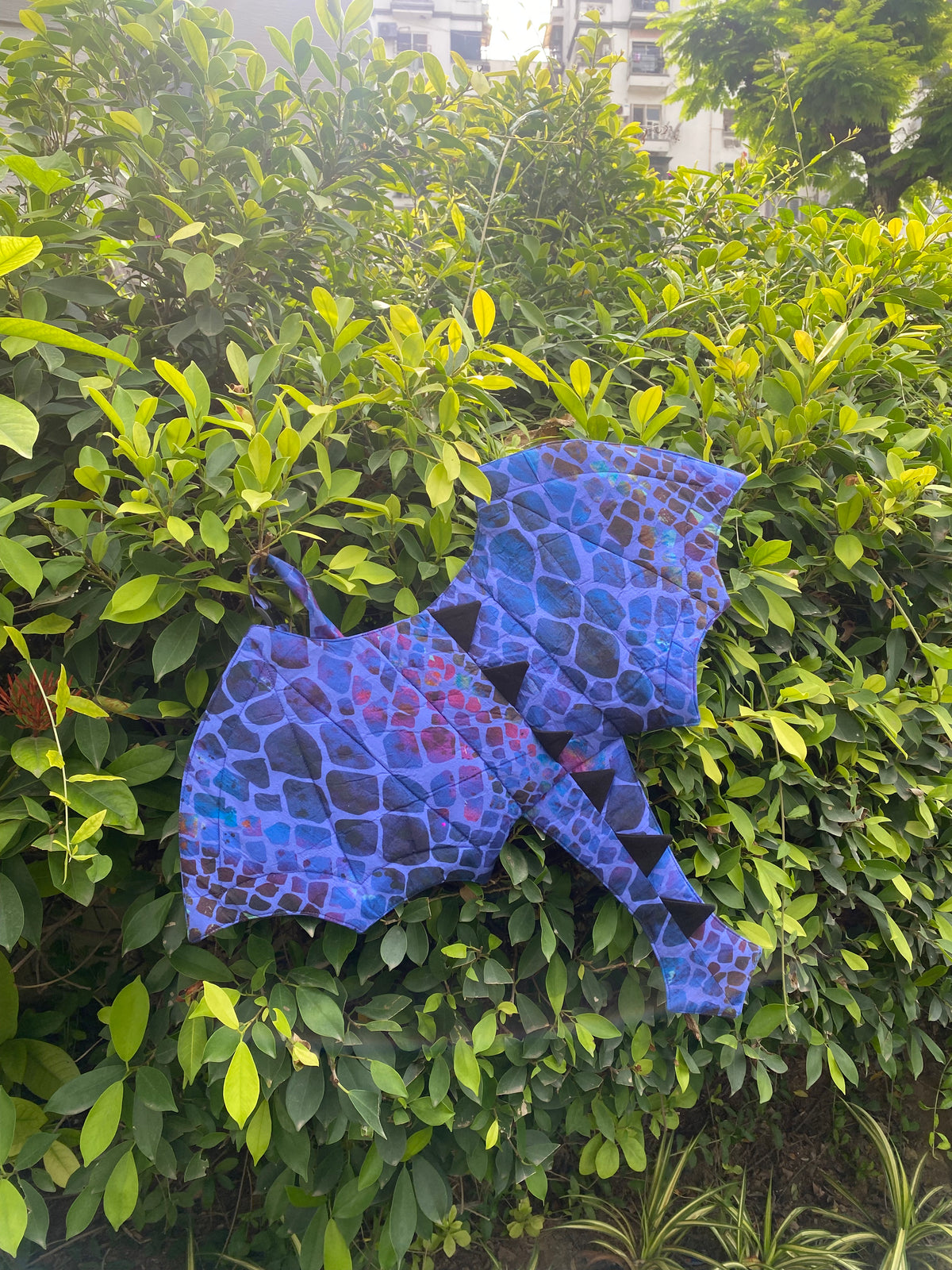 Dragon Wings
