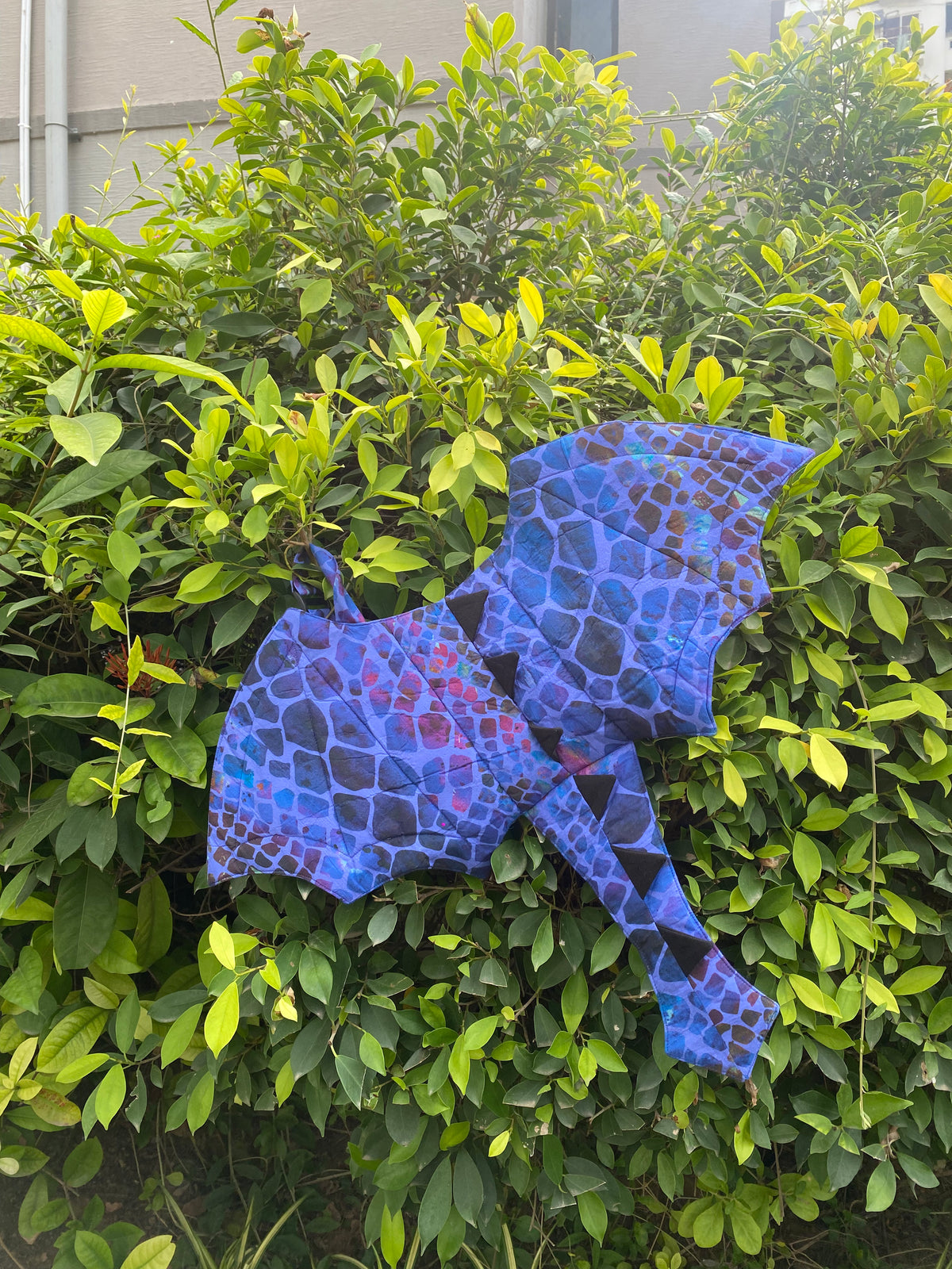 Dragon Wings