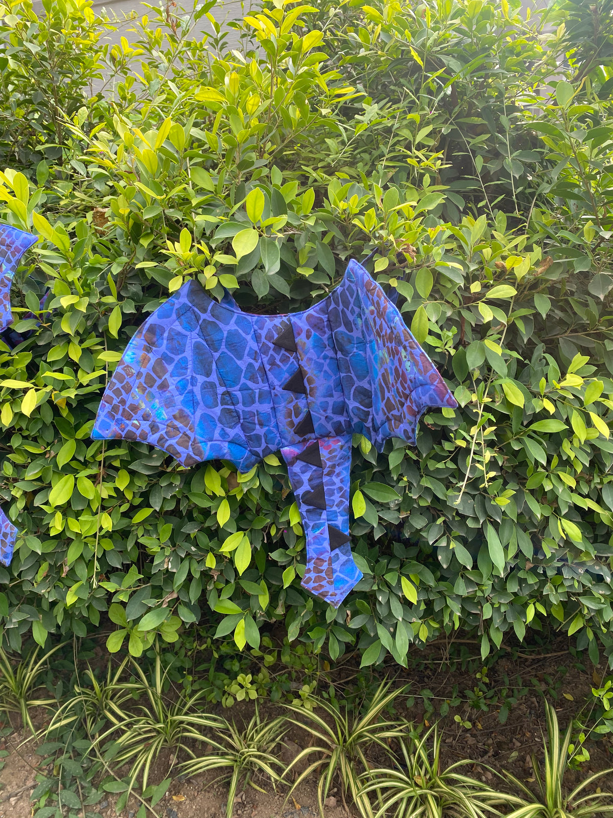 Dragon Wings