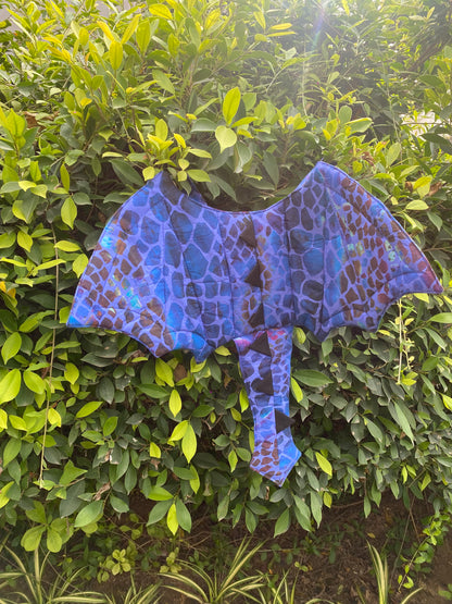Dragon Wings
