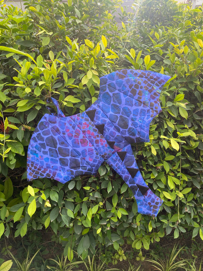 Dragon Wings