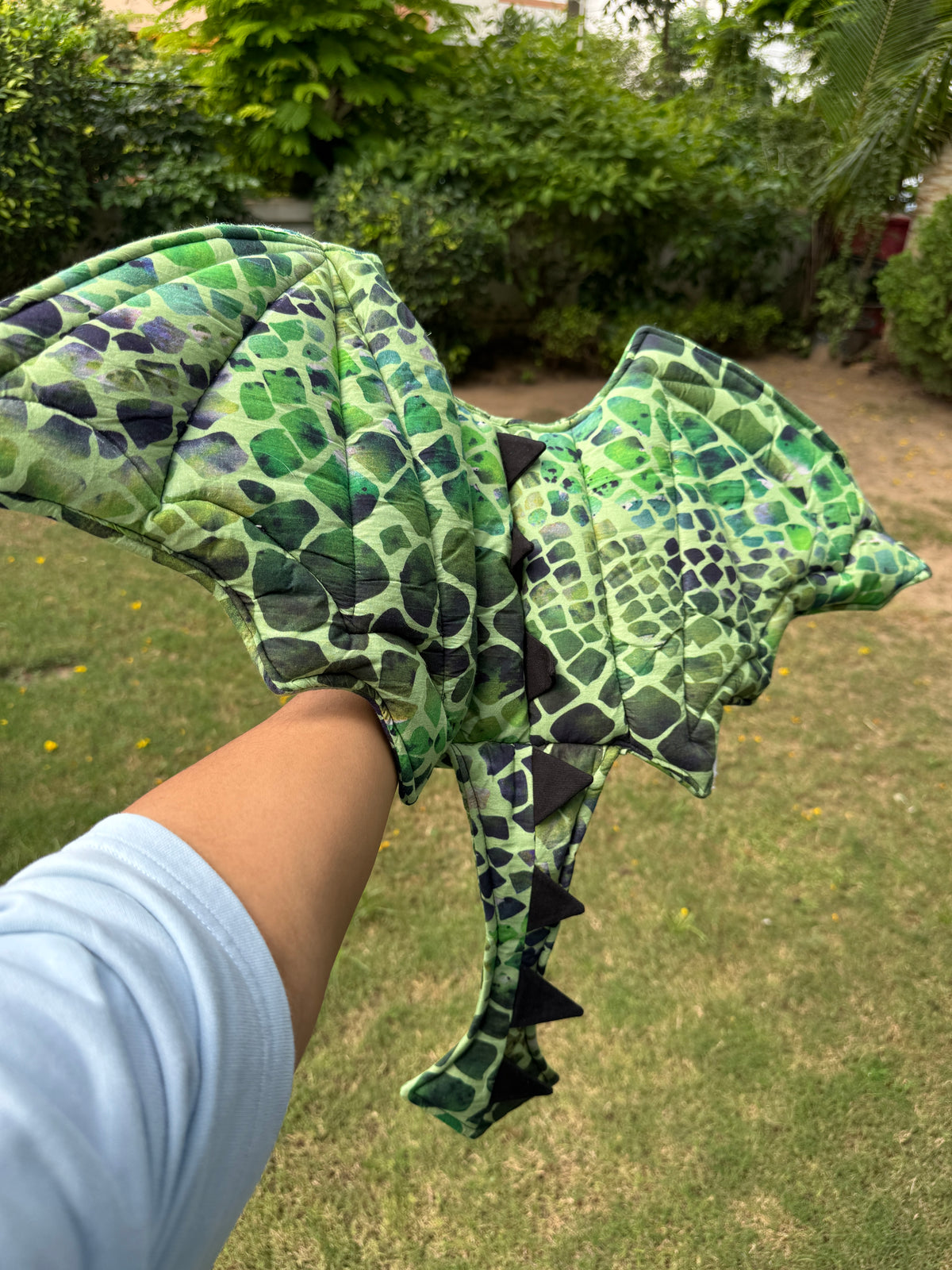 Dragon Wings