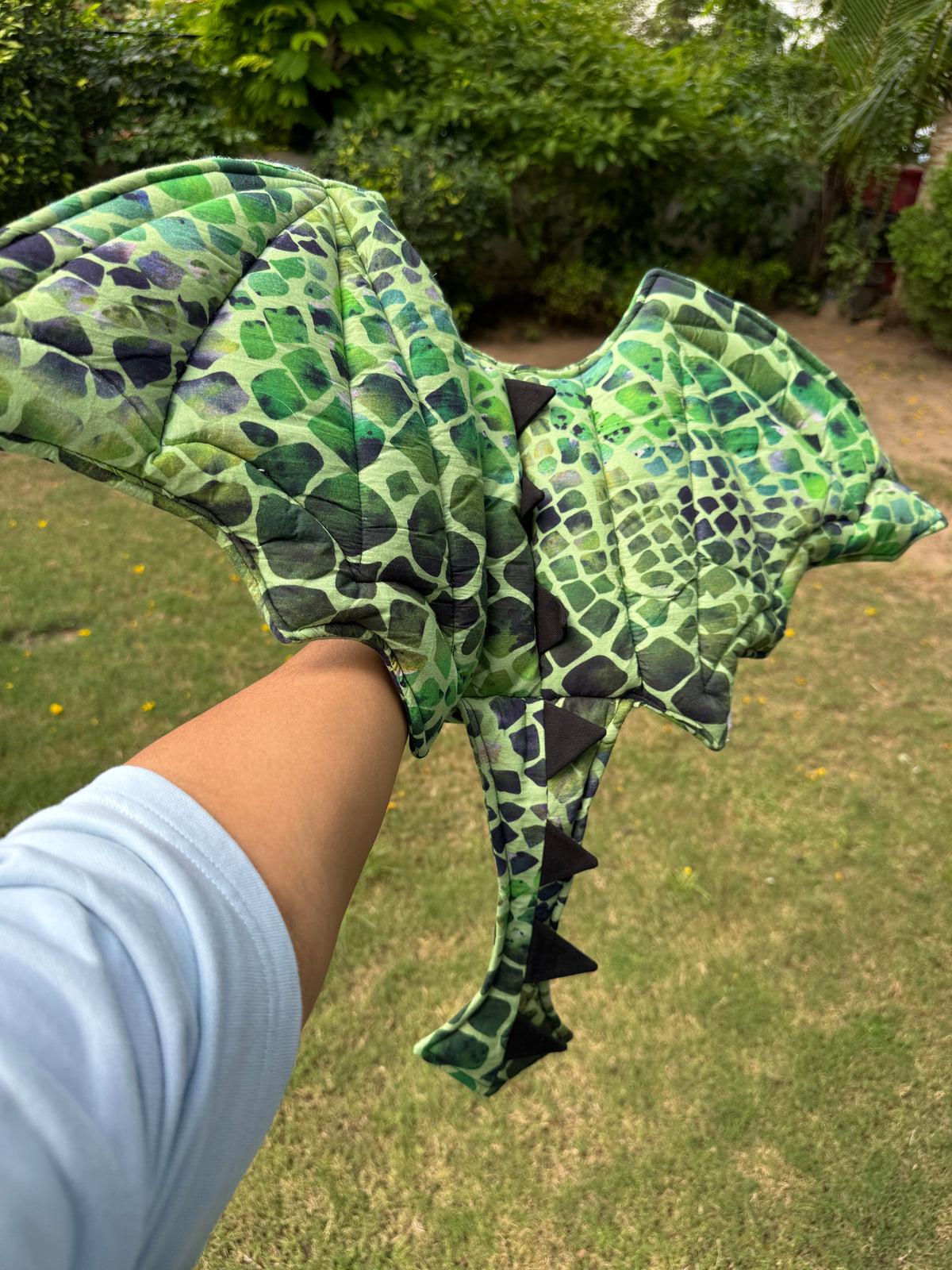 Dragon Wings